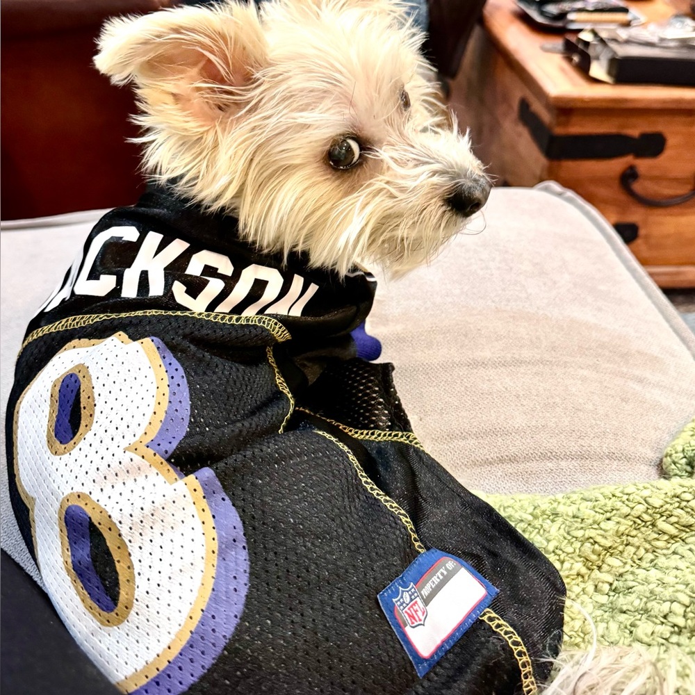 Boo & NFL Pup Jerseys